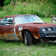 Illustration for article titled Ten White Trash Cars To Match Your Mullet